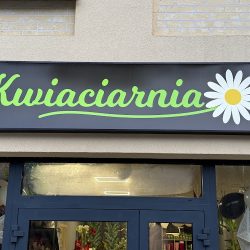 Kwiaciarnia Stokrotka (Milicz )