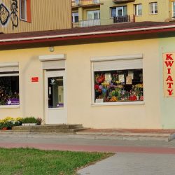 Kwiaciarnia Stokrotka (Poddębice )