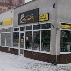 Kwiaciarnia Stokrotka (Płock )