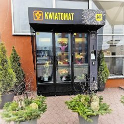 Kwiaciarnia Stokrotka (Starogard Gdański )