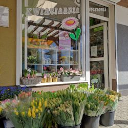 Kwiaciarnia Stokrotka (Koziegłowy en Merlo San Luis)