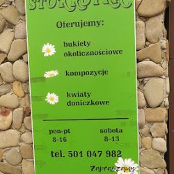 Kwiaciarnia Stokrotka (Rybnik )