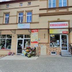 Kwiaciarnia Stokrotka (Dynów )