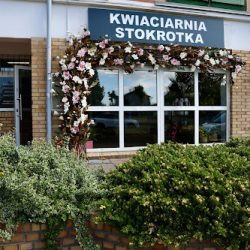 Kwiaciarnia Stokrotka Ewelina Szygenda (Konin )