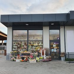 Kwiaciarnia Stokrotka Knurów (Knurów )