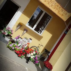 Kwiaciarnia Stokrotka Kowale Pańskie Za Remizą (Kowale Pańskie en Merlo San Luis)