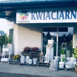 Kwiaciarnia Stokrotka & Kwiatomat 24/7 (Szczerców )