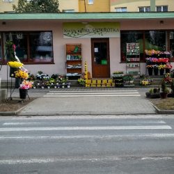 Kwiaciarnia Stokrotka Mariusz I Ewelina Kozak (Lubin )