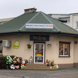 Kwiaciarnia Stokrotka Poczta Kwiatowa Mońki & Pralnia (Mońki )