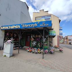 Kwiaciarnia Storczyk (Tomaszów Lubelski )