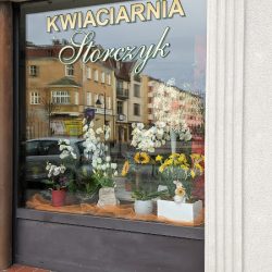 Kwiaciarnia Storczyk (Lębork )