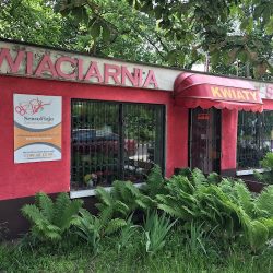 Kwiaciarnia Storczyk (Dąbrowa Górnicza )