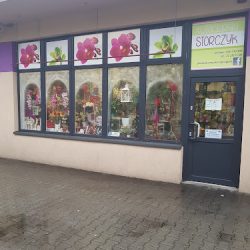 Kwiaciarnia „storczyk” (Bytom )