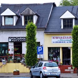Kwiaciarnia Storczyk Radziejów Rynek (Radziejów )