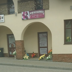 Kwiaciarnia Storczyk (Nowy Wiśnicz )