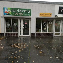Kwiaciarnia Strelicja (Dzierżoniów )