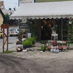 Kwiaciarnia Stylowa Monika Szyszka (Wschowa )