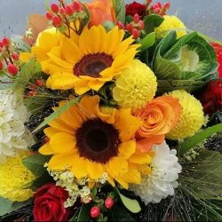 Kwiaciarnia Sunflower (Bobowa )