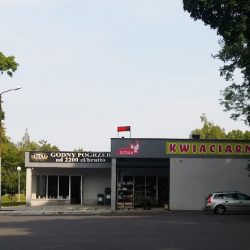 Kwiaciarnia SutuŁa (Jelenia Góra )