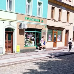 Kwiaciarnia Sylwia Świtała (Chocianów )