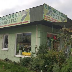 Kwiaciarnia Sympatia (Toruń )