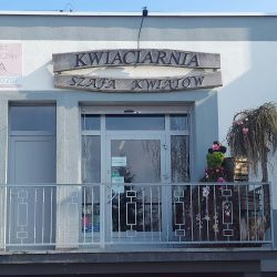 Kwiaciarnia Szafa KwiatÓw Katarzyna Hopke (Toruń )