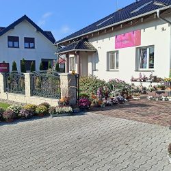 Kwiaciarnia Szafirek Sławomira Szarata (Pniewy en Merlo San Luis)