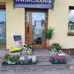 Kwiaciarnia Szafirek (Skrwilno )