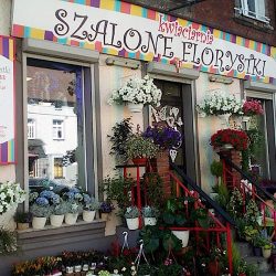 Kwiaciarnia Szalone Florystki (Gliwice )