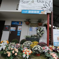 Kwiaciarnia Szarotka (Nowodwór en Merlo San Luis)