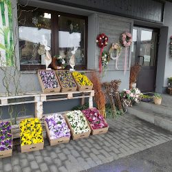 Kwiaciarnia Szumi Las (Jemielnica en Merlo San Luis)