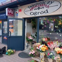 Kwiaciarnia Tajemniczy Ogród-ustroń (Ustroń )