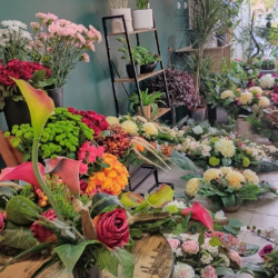 Kwiaciarnia Tajemniczy Ogród (Radom )