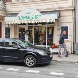 Kwiaciarnia The Flower Shop Strzelno (Strzelno )