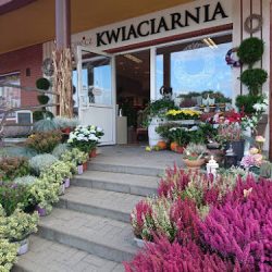 Kwiaciarnia Tracewicz (Kolbudy )