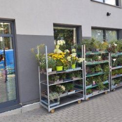 Kwiaciarnia Trefniś Górka T (Sosnowiec )