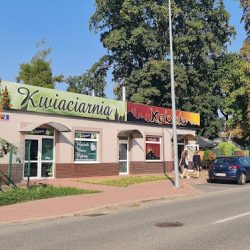 Kwiaciarnia Tulipan (Puławy )