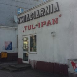 Kwiaciarnia Tulipan (Słupsk )