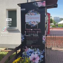 Kwiaciarnia Tulipanna (Zielona Góra )