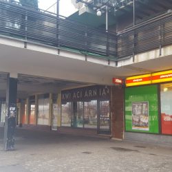 Kwiaciarnia Tysiąclecie (Katowice )