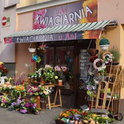 Kwiaciarnia U Ani (Sobótka )