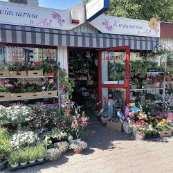 Kwiaciarnia U Asi (Poznań )