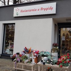 Kwiaciarnia U Brygidy (Wodzisław Śląski )