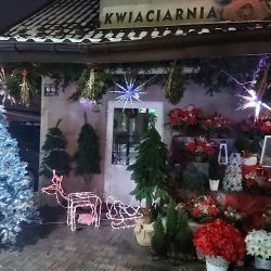 Kwiaciarnia U Edzi (Kraków )