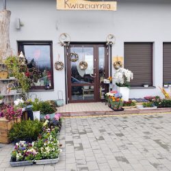 Kwiaciarnia U Izy (Modlnica )