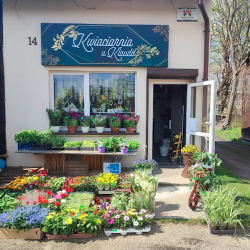 Kwiaciarnia U Klaudil (Poraj )