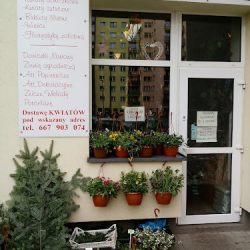 Kwiaciarnia U MaŁgosi (Dąbrowa Górnicza )