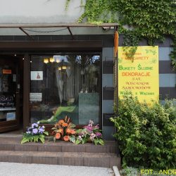 Kwiaciarnia U Margarety (Trzebinia )