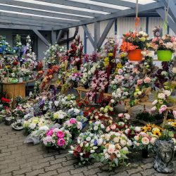 Kwiaciarnia U Marioli (Knurów )