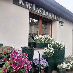 Kwiaciarnia U Marysi (Władysławowo )